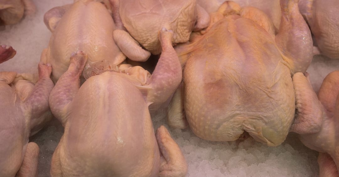 Mỹ cấp phép bán thịt nuôi cấy trong phòng thí nghiệm cho người dân